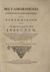    . .     (1705 .)

Merian, Maria Sibylla (16471717). Metamorphosis insectorum surinamensium  Amsterdam, 1705.
  .
